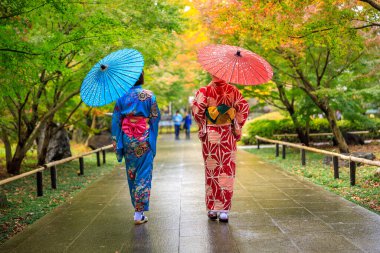 Kimono kırmızısı mavi ve şemsiyeli iki genç turist sonbahar sezonunda Japonya 'da parkta yürüyüşe çıktılar. 