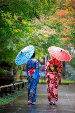 Japonya 'da sonbahar yaprakları mevsiminde, elinde şemsiyeyle parkta yürüyen mavi ve kırmızı kimonolu iki genç Asyalı kadın.