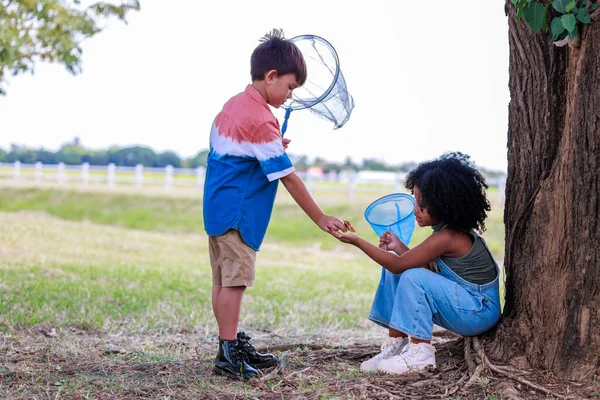 Very Happy Fun Foreign Children Boy Girl Caught Butterfly Garden — Φωτογραφία Αρχείου