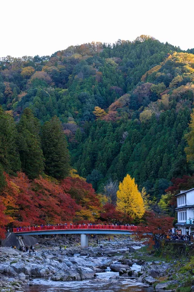 Коранкей Поток Долина Осенний Горный Фон Японии Туристическая Концепция — стоковое фото