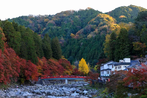 Коранкей Поток Долина Осенний Горный Фон Японии Туристическая Концепция — стоковое фото