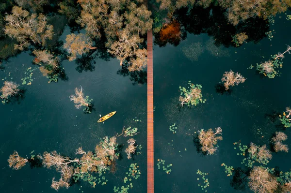 国立公園局の役員カヌーやカヤックで植物園や木製の橋の位置の視点エリアでマングローブ林を探索する ラヨーン省 ドローン写真からの空中ビュー — ストック写真