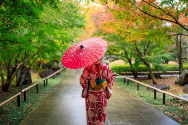 Japonya 'da sonbahar yaprakları mevsiminde parka yürürken şemsiyeli kırmızı kimonolu genç bir kadın el ele tutuşuyor.