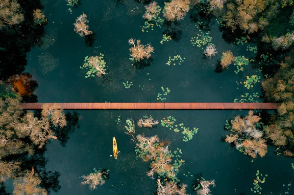 国家公园管理局官员在泰国瑞翁省植物园红树林和木桥位置观景区的独木舟或皮划艇探险 从无人驾驶摄影的空中观察 — 图库照片