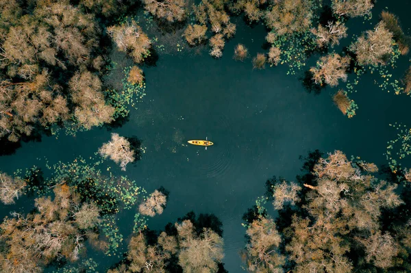 在泰国瑞昂植物园国家公园的红树林中 游客空中俯瞰 探险生活方式活动 划皮划艇或独木舟的体育活动 — 图库照片
