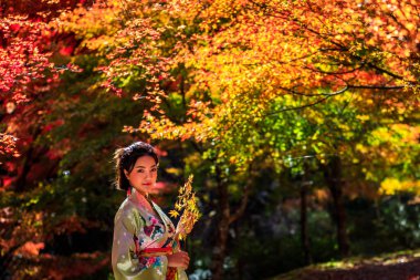 Geleneksel kimino elbisesiyle gezen Asyalı genç bir kızın portresi. Elinde meple leavse ve sonbahar yaprakları mevsiminde Japon parkında kameraya bakıyor. Seyahat turizmi konsepti.,