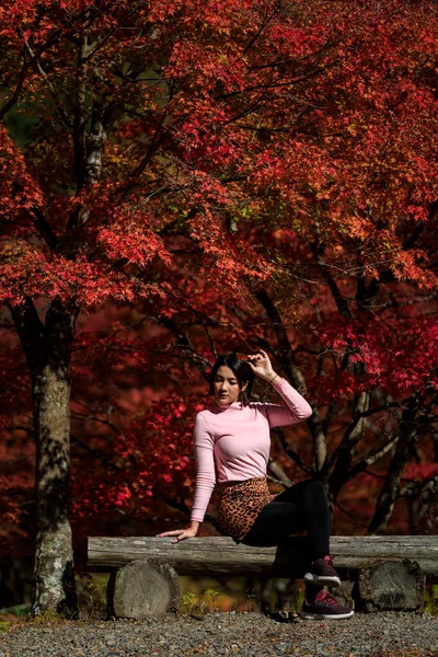 在日本的公园里 年轻的亚洲女游客在朝阳下悠闲地坐在木制的秋叶季节里 旅游理念 — 图库照片