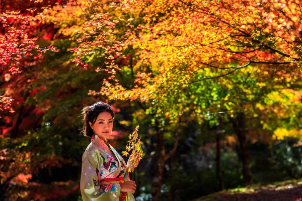 Retrato Jovem Asiático Menina Viajante Tradicional Kimino Vestido Segurando Meple — Fotografia de Stock