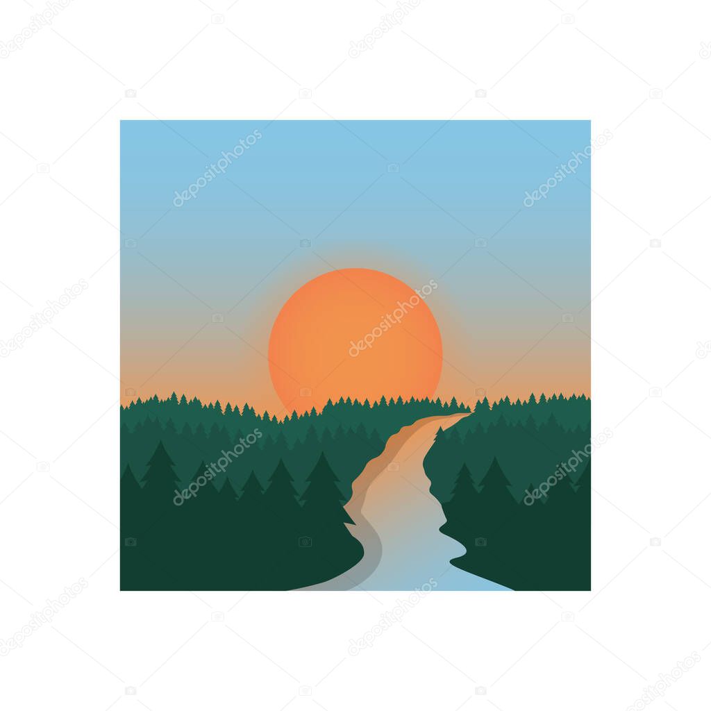 Forest and river landscape. Landscape vector template isolated on white background. Sunset landscape river and forest. Beautiful sunset landscape. Sunset sky. Square shape