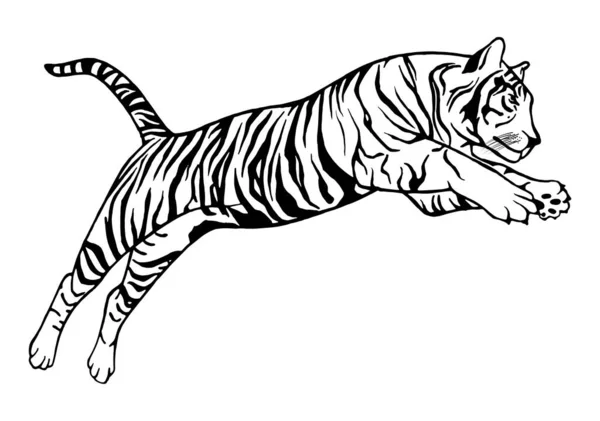 Tigre Saltante Tatuaggio Vettoriale Illustrazione Disegnata Mano Design Vettoriale Cinese — Vettoriale Stock