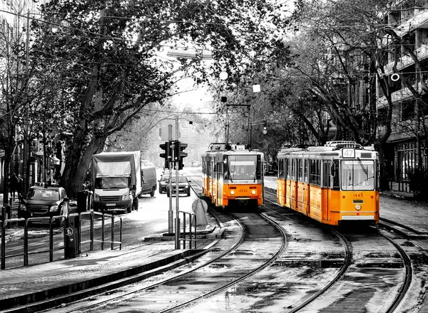 Black and white city of Budapest, Hungary and yellow tram