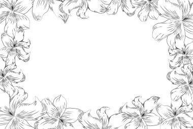 Süslü zambak çerçevesi, çiçek çerçevesi, çerçeve vektörü