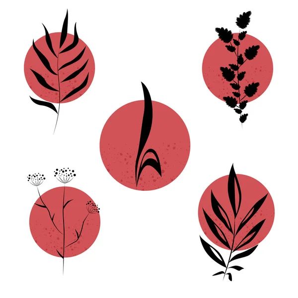 Set Logos Different Plants Set Hand Drawn Badges Icons Minimalism — Stockvektor