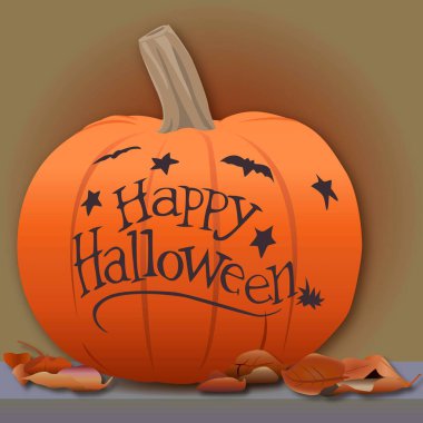 Afet yardım kiti, acil durum kiti içeriği, vektör