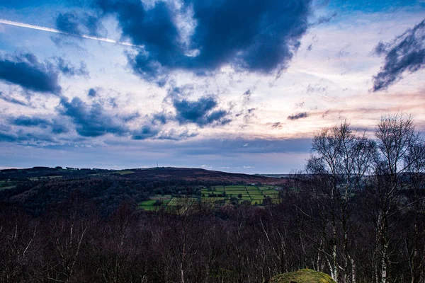 Wunderschöne Landschaft Mit Einem Baum Und Blauem Himmel — Stockfoto