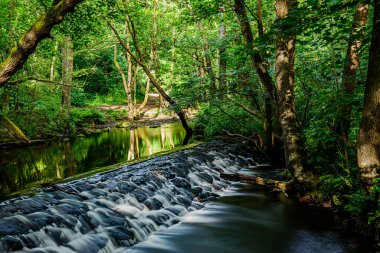 Ormanda güzel bir şelale