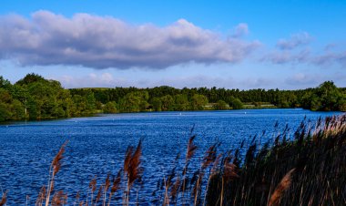 Ormandaki gölün güzel manzarası