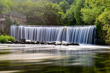 view of the river with the trees