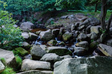 river stream in nature.