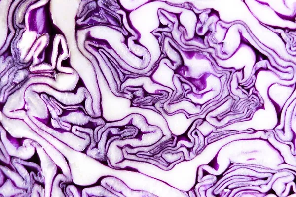 Mor lahana desenli makro shot. Yemek arkaplanı. Kırmızı lahananın yakın çekim makro görüntüsü