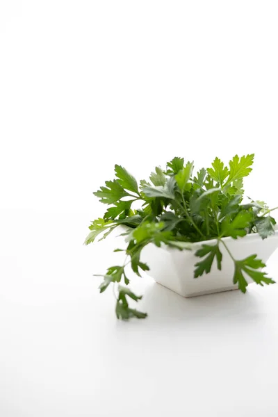 Masadaki beyaz tabakta taze yeşil maydanoz