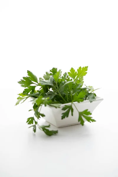 Masadaki beyaz tabakta taze yeşil maydanoz