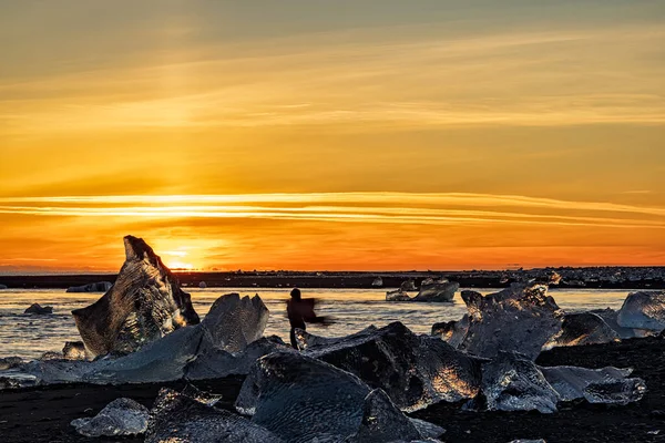 Danseuse Sur Plage Diamants Dans Parc National Vatnajokull Coucher Soleil — Photo