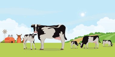 Holstein ineği ve buzağıları çayırda. Kırsal alanda farklı pozlar, vektör illüstrasyonu..