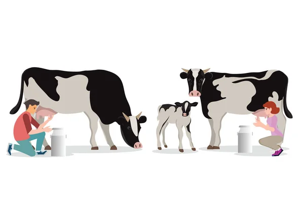 Pár Farmář Dojení Kráva Kbelíku Izolované Bílém Pozadí Vektorová Ilustrace — Stockový vektor