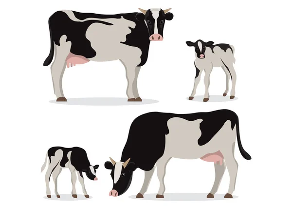 Bonito Vaca Holandesa Preta Branca Bezerros Diferentes Poses Isoladas Fundo — Vetor de Stock