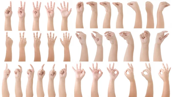 Beyaz arka planda tecrit edilen Çocuk El Grubu: Birden beşe kadar el sayımı, el ele tutuşma, yılan pozu, işaret etme, tamam poz.