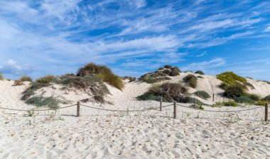 Espalmador adası Balear Adaları 'nın en iyi korunmuş kumul sistemini oluşturur. Parque Natural de las Salinas de Ibiza y Formentera 'nın bir parçasıdır.