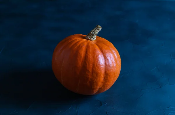 Calabaza de hokkaido naranja sobre fondo oscuro, concepto vegano o vegetariano. — Foto de Stock