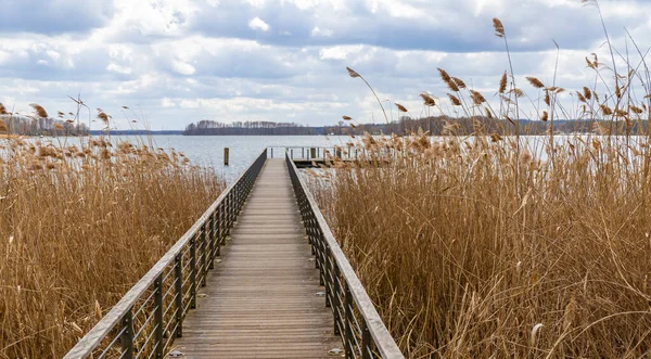 Açık kahverengi, kuru sazlıklar ve göl manzaralı ahşap iskele.
