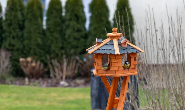 Cute European Crested Tit bird sitting on a wooden bird feeder. — Stockfoto