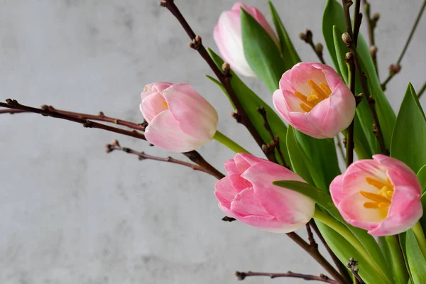 Paskalya tebrik kartı. Pembe laleler, söğüt dalları.