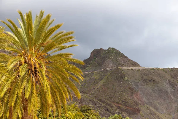 Playa de las Teresitas, Tenerife, İspanya - 11 Nisan 2022, Sahra sahilinden çevresindeki dağlara kadar.