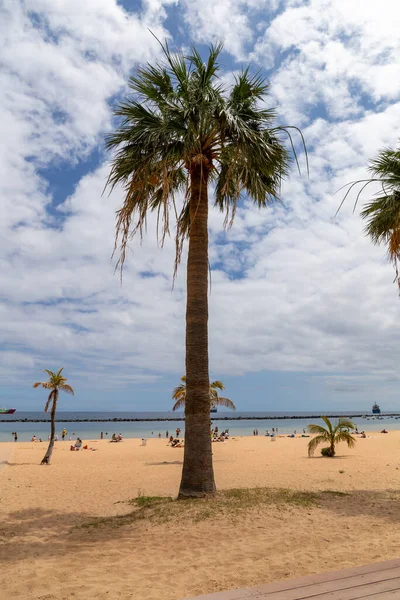 Playa de las Teresitas, Tenerife, İspanya - 11 Nisan 2022, Sahra kumlu sahil