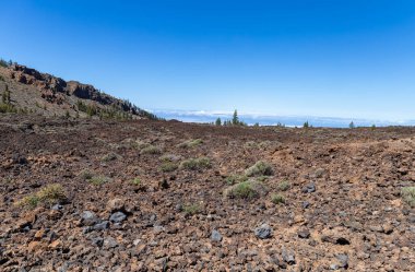 Tenerife 'de serinletilmiş lav ve külleri olan volkanik manzaralar