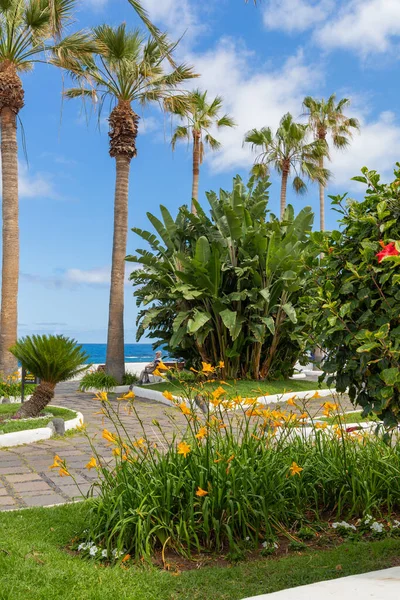 Puerto de la Cruz, Tenerife, İspanya - 9 Nisan 2022, Porto de la Cruz 'da tropikal Kanarya bitki örtüsüyle gezinti güvertesi, Tenerife, Kanarya Adaları