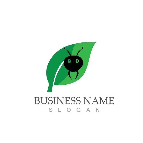 Ant Logo Template Vector Illustratie Ontwerp — Stockvector