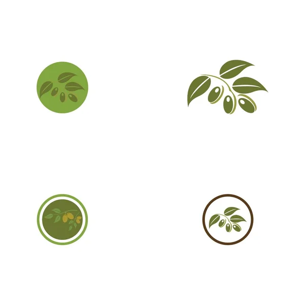 Olive Symbol Vektor Illustration Design Vorlage — Stockvektor