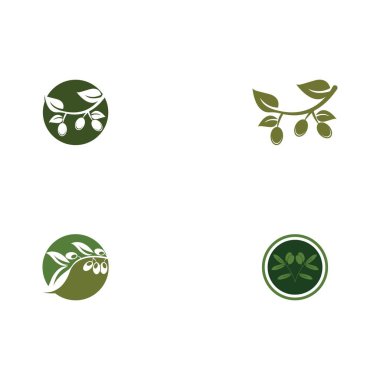 zeytin logosu vektör tasarımı