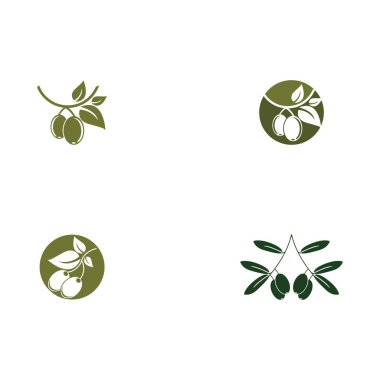 zeytin logosu vektör tasarımı