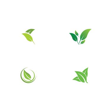 Yeşil yaprak logosu ekoloji doğa element vektör simgesi
