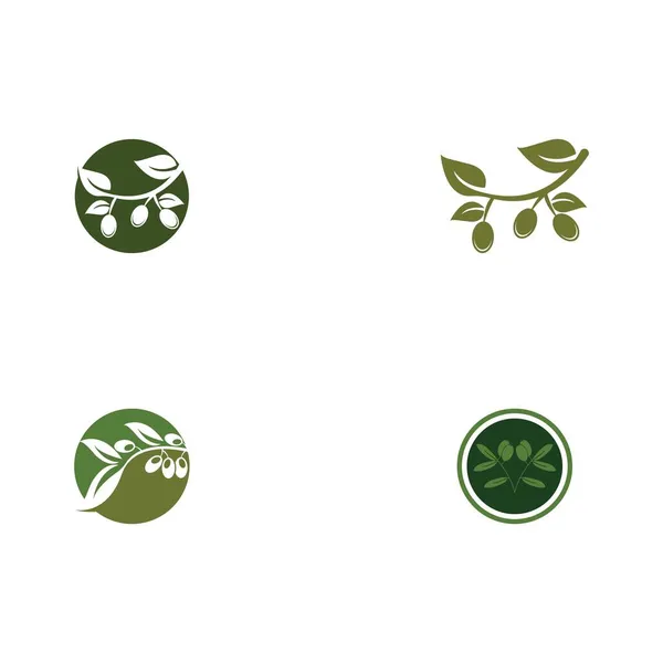 橄榄标识模板矢量设计 — 图库矢量图片