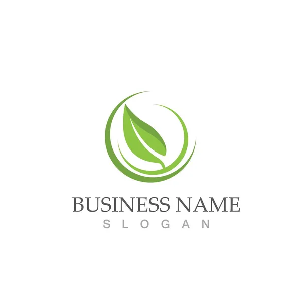 Folha Verde Logotipo Ecologia Elemento Natureza Vetor Ícone — Vetor de Stock