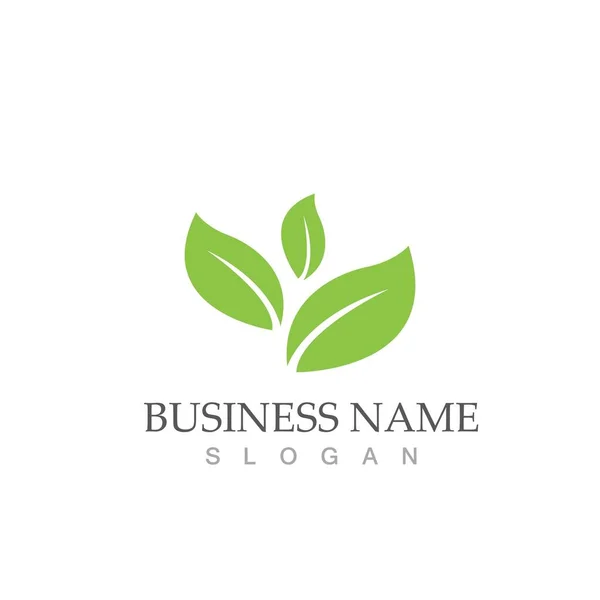 Folha Verde Logotipo Ecologia Natureza —  Vetores de Stock