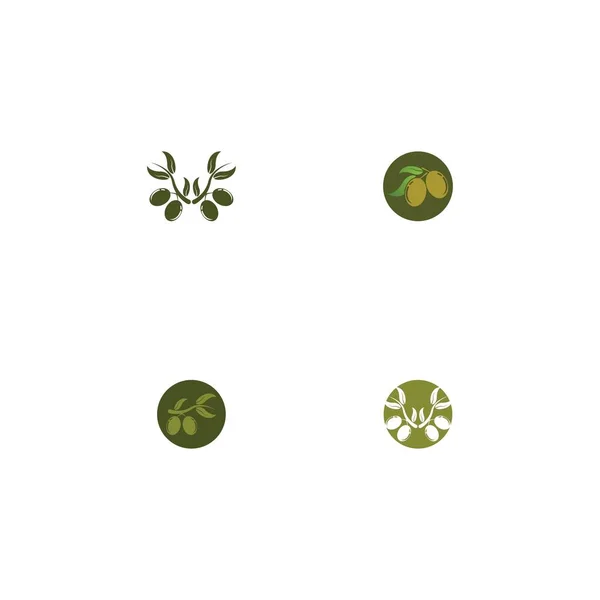 橄榄标识模板矢量设计 — 图库矢量图片
