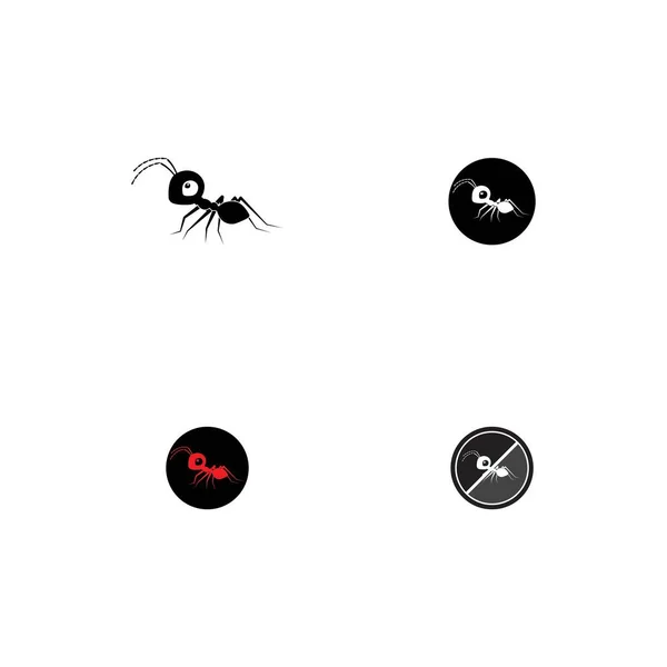 Ant Logo Modèle Vectoriel Illustration Design — Image vectorielle